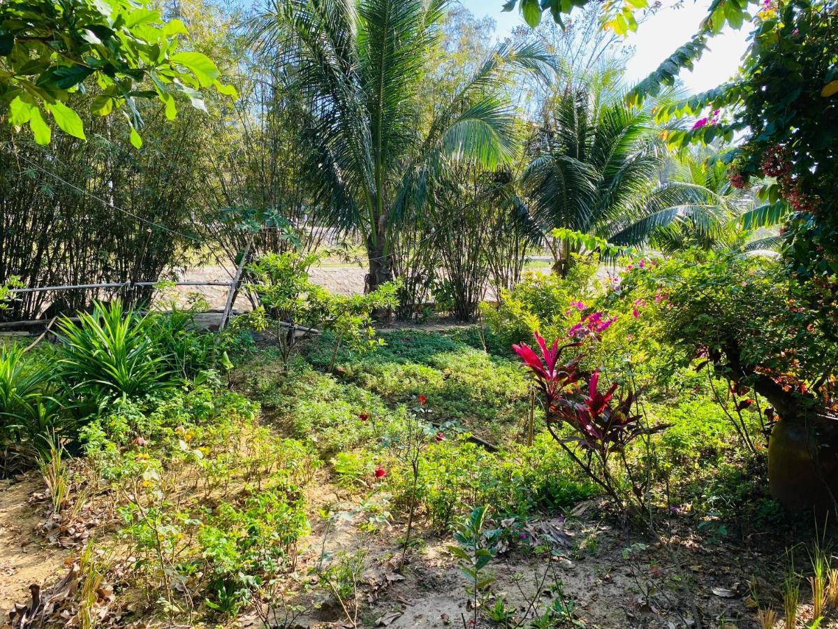 Villa Kim'S Garden à Chi Khu Co Ong Extérieur photo